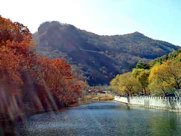 奥门天天开奖免费资料，申彗星女友